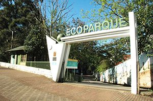 Feira Mercoflora 2017 - Bons negcios florescem aqui. Ecoparque Localizado na Avenida Getúlio Vargas em frente ao 2º BPM, o Ecoparque possui área verde com árvores nativas e eucaliptos, lago com ponte, três trilhas...